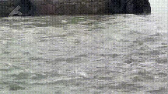 DƬ